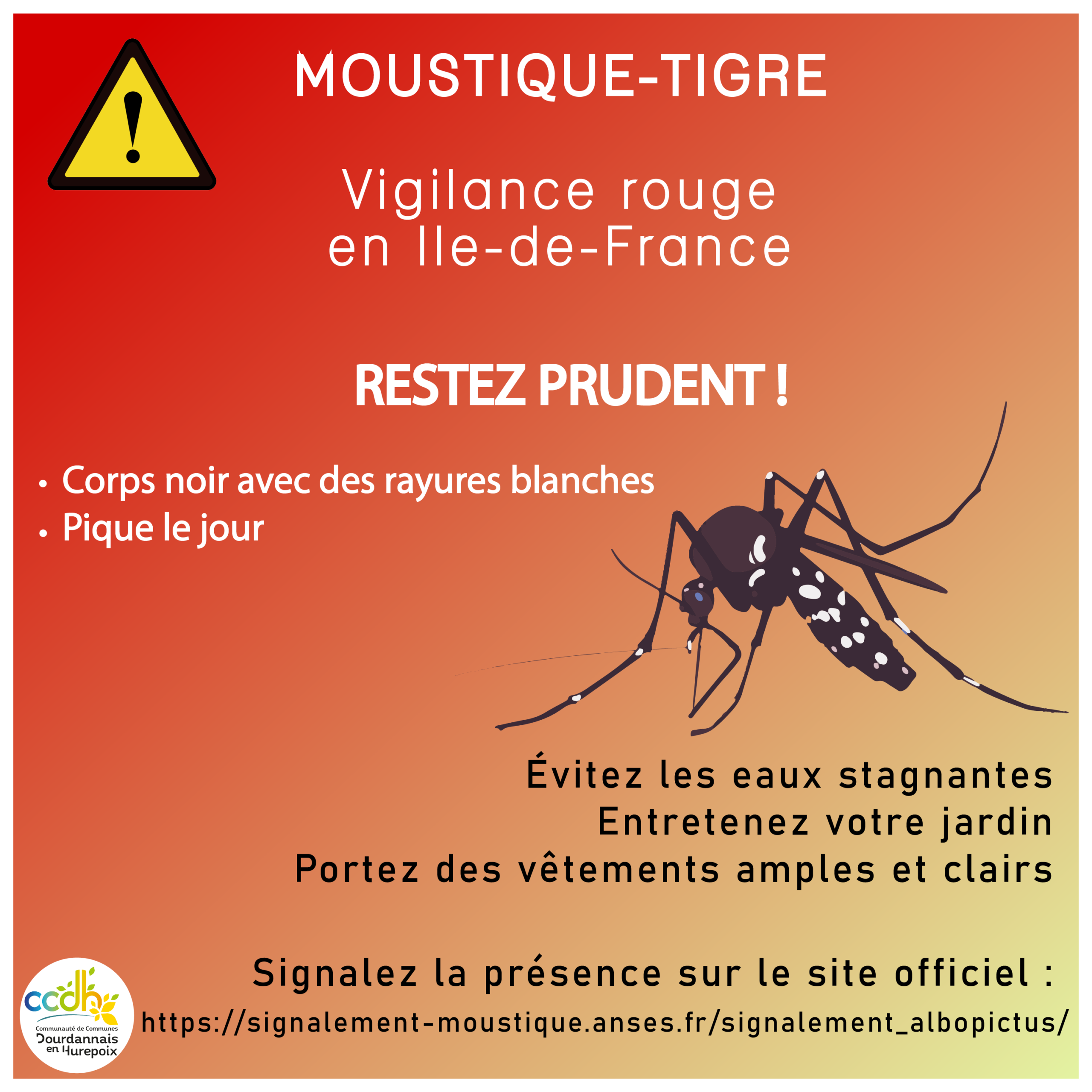 Attention Aux Moustiques Tigres Ccdh
