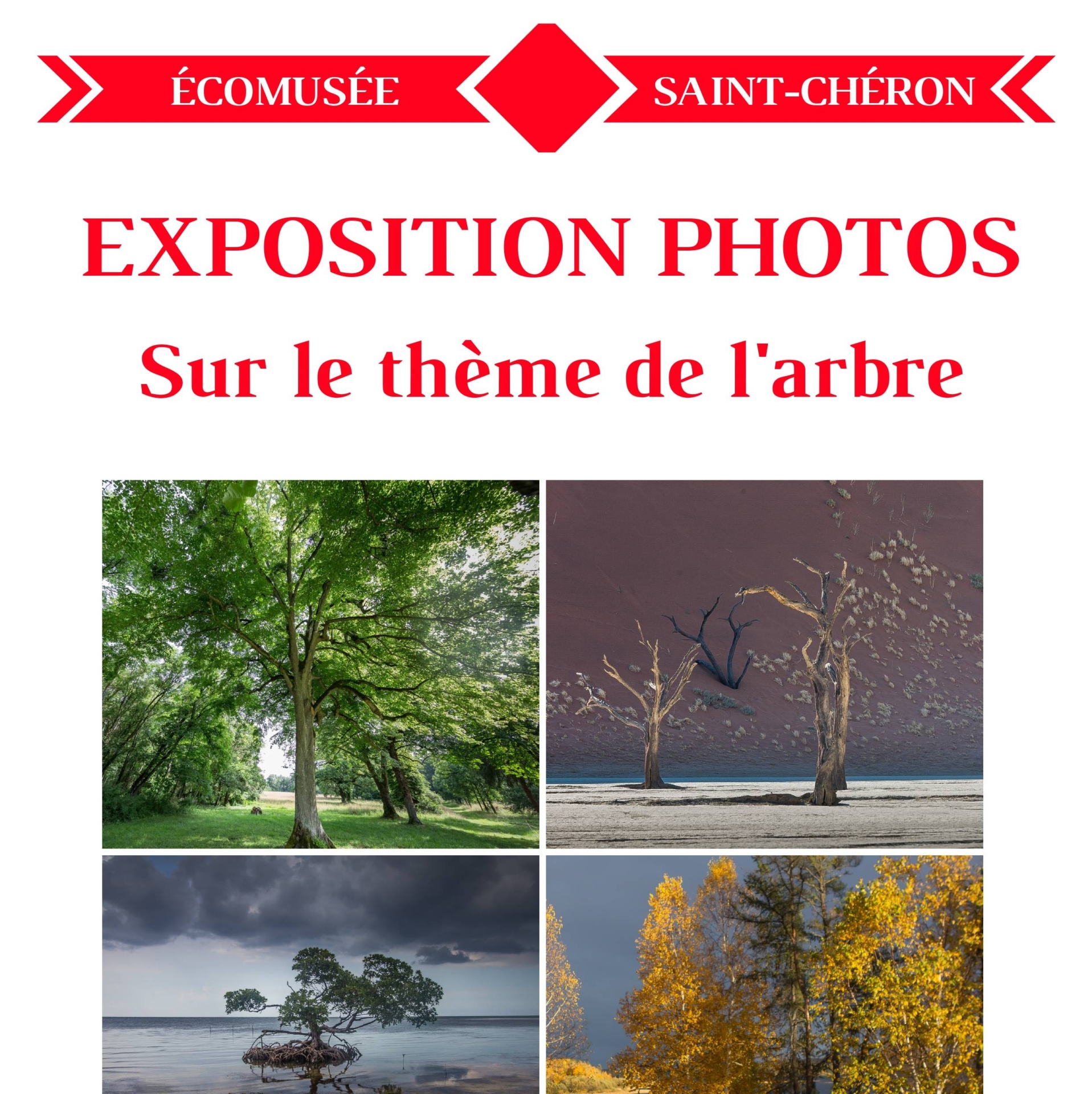 Exposition pour tous